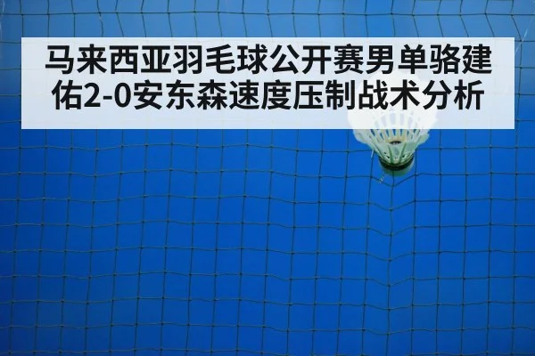 badminton net play